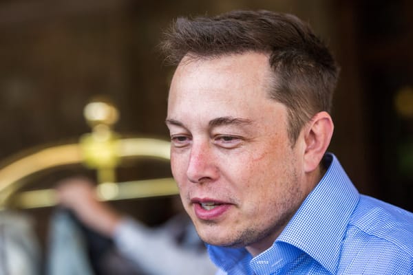Roundup: A new year won't halt Elon's fall