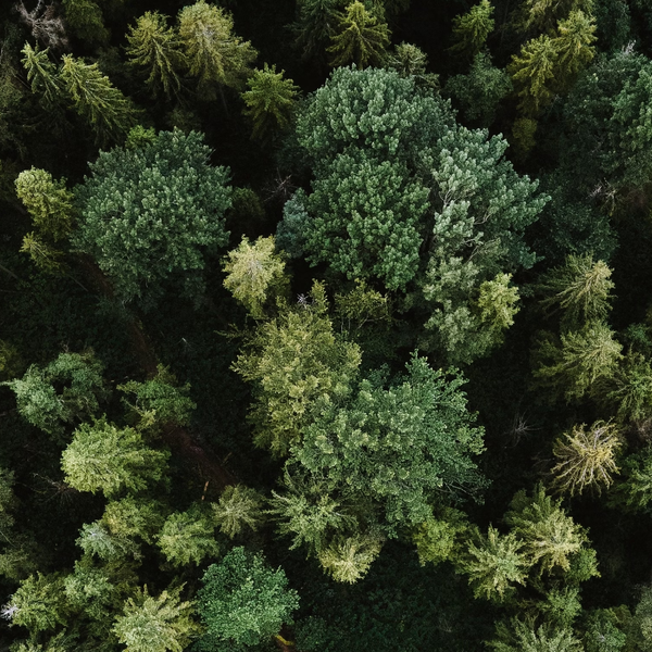 Environment