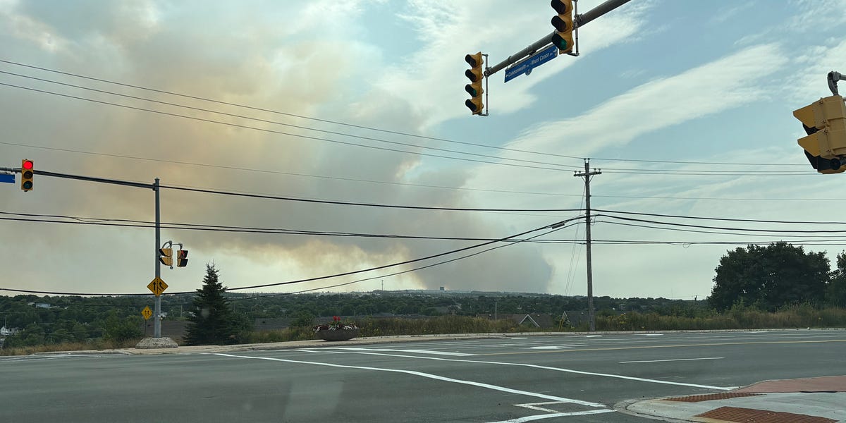 X shows why stricter tech regulation is necessary